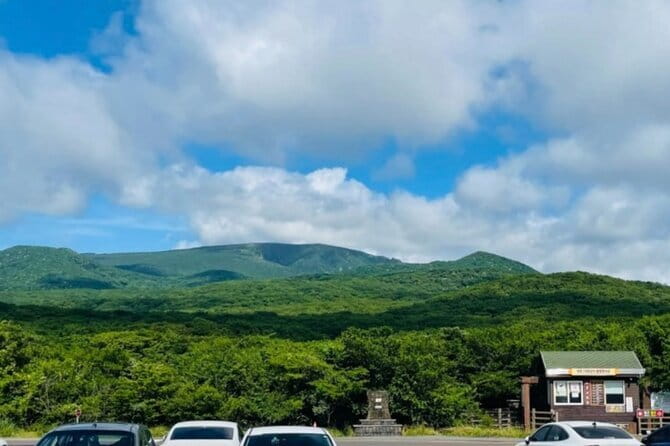 Jeju Western and Southern Routes Sightseeing Day Tour - A Full Day of Jeju West and South, Starting at 8:00