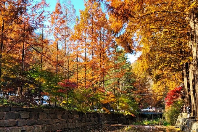 Jeonju Hanok Village Full-Day Tour:Jangtaesan Autumn Foliage - Key tour highlights to care about