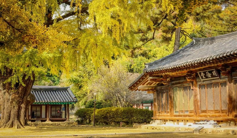Jeonju Hanok Village Full-Day Tour:Jangtaesan Autumn Foliage - Should you book this Jeonju and Jangtaesan full-day tour?
