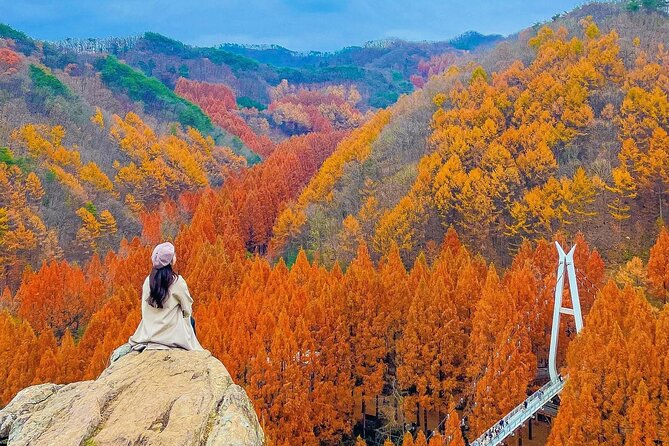 Jeonju Hanok Village Full-Day Tour:Jangtaesan Autumn Foliage - A long, comfortable ride out of Seoul