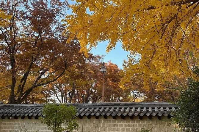 Jeonju Hanok Village Full-Day Tour:Jangtaesan Autumn Foliage - Jangtaesan autumn views, plus the uphill photo moment