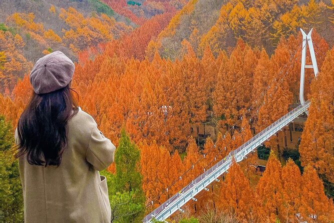 Jeonju Hanok Village Full-Day Tour:Jangtaesan Autumn Foliage - The real itinerary feeling: pacing, weather swaps, and AC reality