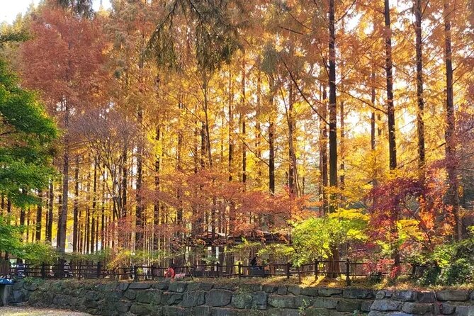 Jeonju Hanok Village Full-Day Tour:Jangtaesan Autumn Foliage - Price and value check: what $74 covers, and what it does not