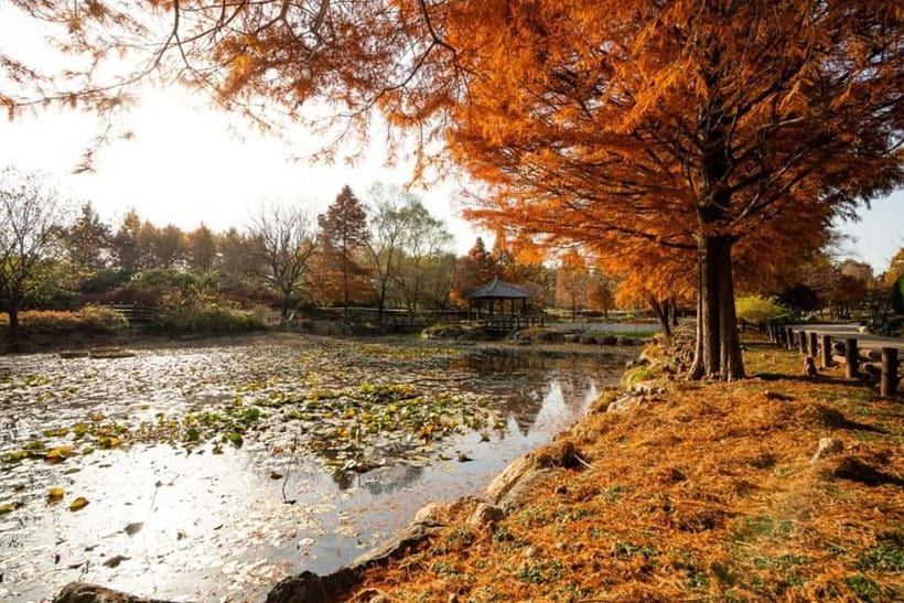 Jeonju: Private Taxi Tour Car Charter - Nambu Market, Jaman Mural Village, and Jeonju Film Studio Complex