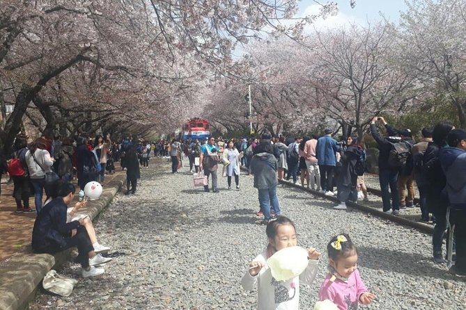 Jinhae Cherry Blossom + Busan Sunrise from Seoul - Haeundae Beach early in the day: your warm-up stop