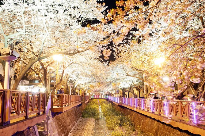 Jinhae Cherry Blossom Day trip from Busan - A Spring Adventure! - Best fit: who will enjoy this tour most, and who may feel rushed