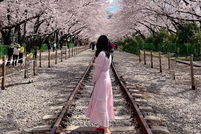 Jinhae Pink Cherry Blossom One Day Tour From Busan - How the 11-hour schedule feels in real life