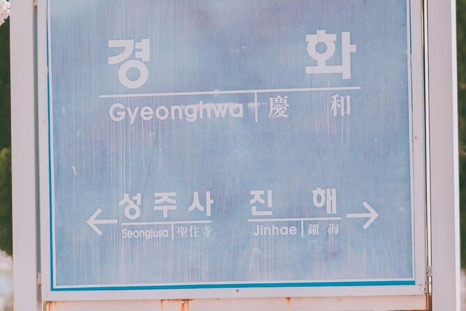 Jinhae Pink Cherry Blossom One Day Tour From Busan - Who this tour is best for (and who should think twice)