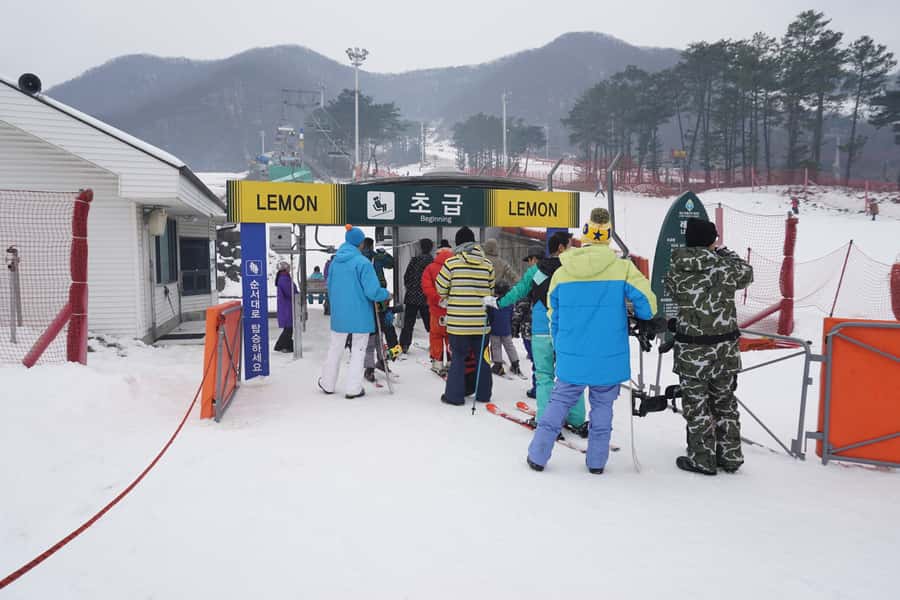 Jisan Forest Resort: Ski Full-Day Tour or Shuttle from Seoul - Choosing Between Three Options: Basic Ski Tour, Full Package, and Shuttle Only