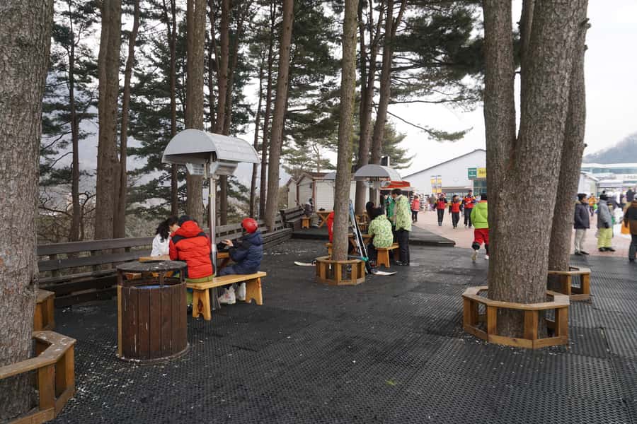 Jisan Forest Resort: Ski Full-Day Tour or Shuttle from Seoul - Language, Guide Support, and the Coach Factor