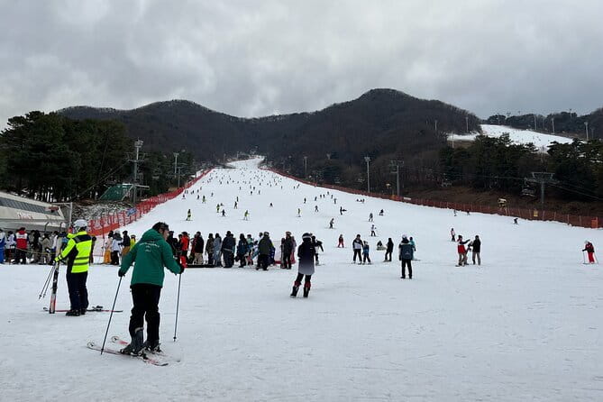 Jisan Forest Ski Resort and Everland 1 Day Tour - The real pacing: what 11 to 12 hours feels like