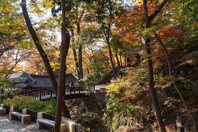 Jisan Forest Ski Resort and Everland 1 Day Tour - Price and value: where your $58.83 goes
