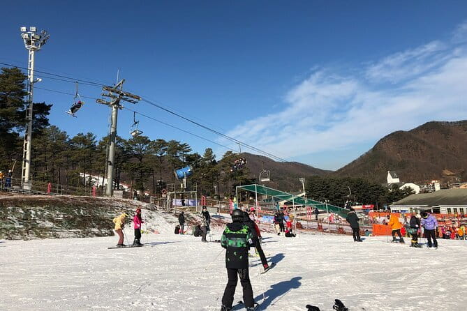 Jisan Forest Ski Resort and Everland 1 Day Tour - Jisan Forest Ski Resort: beginner slopes, Sunkid MovingWalk, and real options