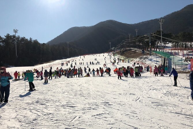 Jisan Ski One Day Tour - Leaving Seoul Behind, Without Stress