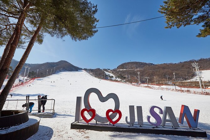Korea Ski Tour from Seoul - Jisan Resort with Isaac Toast - Key Things That Make This Jisan Ski Tour Worth Considering