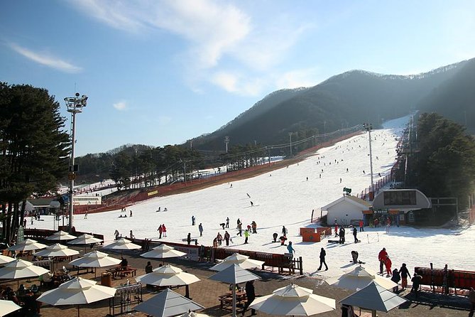 Korea Ski Tour from Seoul - Jisan Resort with Isaac Toast - The 120-Minute Beginner Lesson, What You Should Expect to Learn