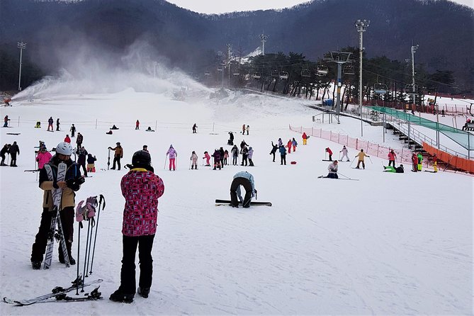 Korea Ski Tour from Seoul - Jisan Resort with Isaac Toast - Price and Logistics, Why $19.95 Can Be Great Value (and When It Isn’t)