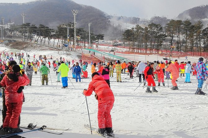 Korea Ski Tour from Seoul - Jisan Resort with Isaac Toast - Who This Jisan Ski Day Trip Is Best For