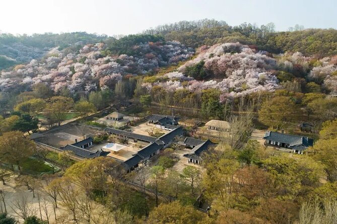 Korean Folk Village Afternoon Half day Tour - Drama Filming Potential and How to Make It Fun
