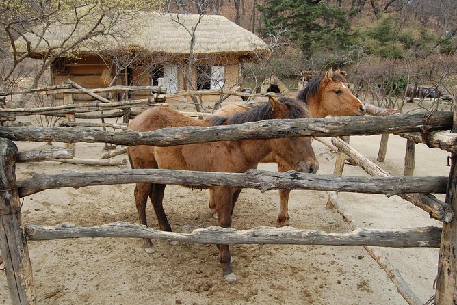 Korean Folk Village Afternoon Tour from Seoul - Inside Korean Folk Village: Traditional Houses You Can Actually Walk Through