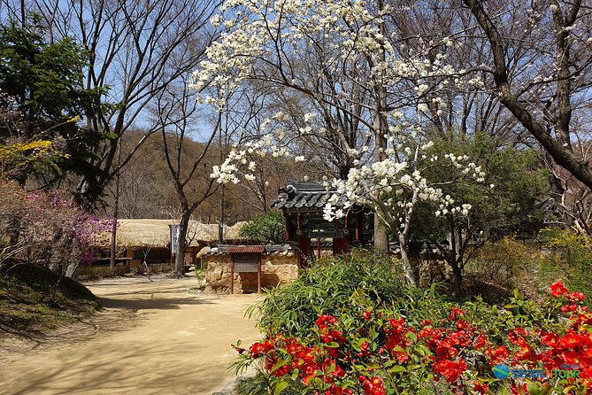 Korean Folk Village Half-day Guided Tour from Seoul - Inside the Korean Folk Village: more than 250 restored homes