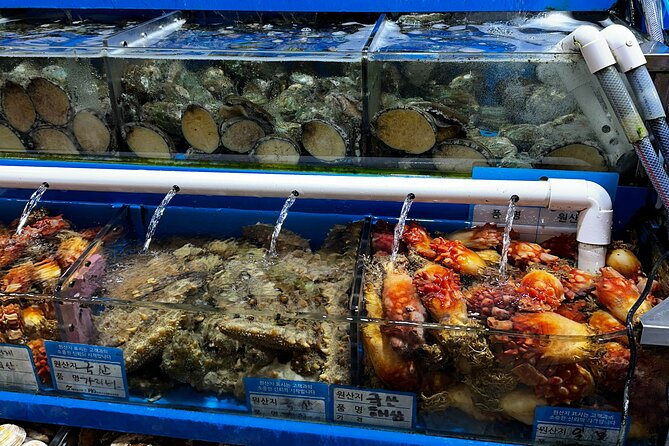 Korean Market Adventure with Chef Yie - Noryangjin Fish market - How the market-to-meal transition works