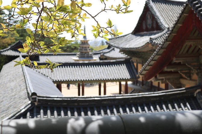 Korean UNESCO World Heritage Tour including Gyeongju, Andong and Daegu(2N3D) - Day 3 from Gaya Mountain to Daegu’s herbs and Seomun Market