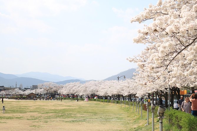 Korean UNESCO World Heritage Tour including Gyeongju, Andong and Daegu(2N3D) - Price and value: what is included, what is not, and who should budget for meals