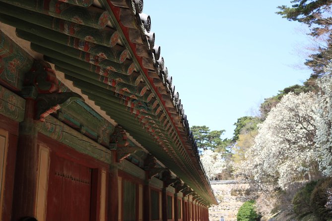 Korean UNESCO World Heritage Tour including Gyeongju, Andong and Daegu(2N3D) - Who this UNESCO tour fits best