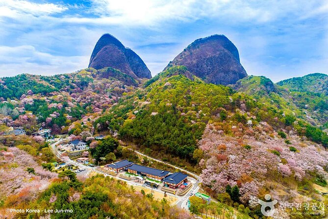 Maisan Cherry Blossom and Jeonju Hanok Village - Key highlights at a glance