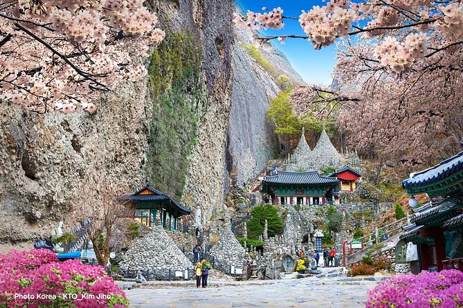 Maisan Cherry Blossom and Jeonju Hanok Village - Seoul to Maisan: The Ride That Sets the Pace