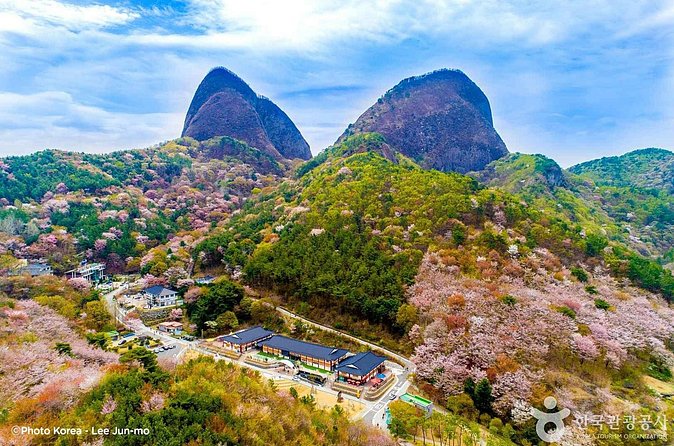 Maisan Cherry Blossom and Jeonju Hanok Village - How Long Is Each Stop, and What You Should Plan for