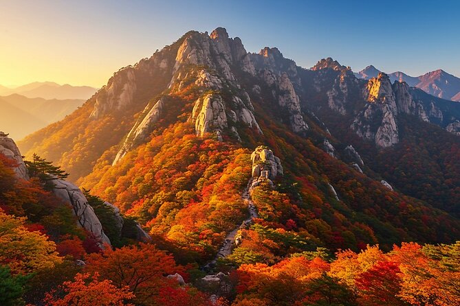 Missionary Memorial Hall and Goseong DMZ Observatory from sokcho - Key Points to Know Before You Go