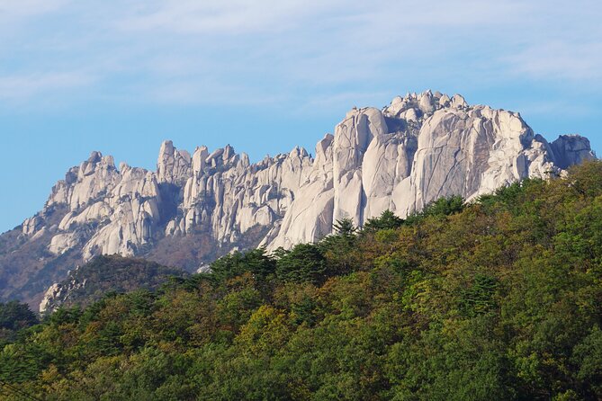 Mount Seorak and Naksansa Temple One Day Tour from Seoul - Food Reality: What You Need to Eat on This Trip