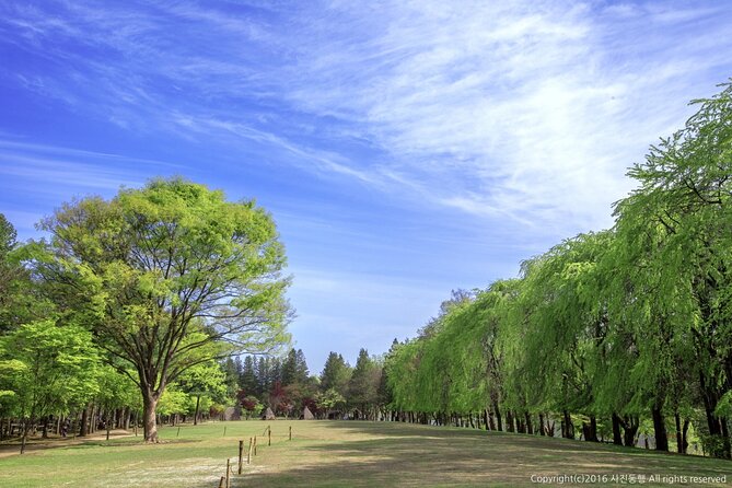 Mount Seorak and Nami Island One Day Tour from Seoul - Picking the right Seoraksan trail style for your pace