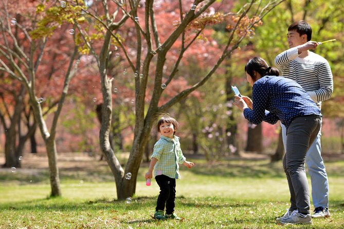 Mount Seorak and Nami Island One Day Tour from Seoul - Meals and timing: how to avoid a hungry scramble