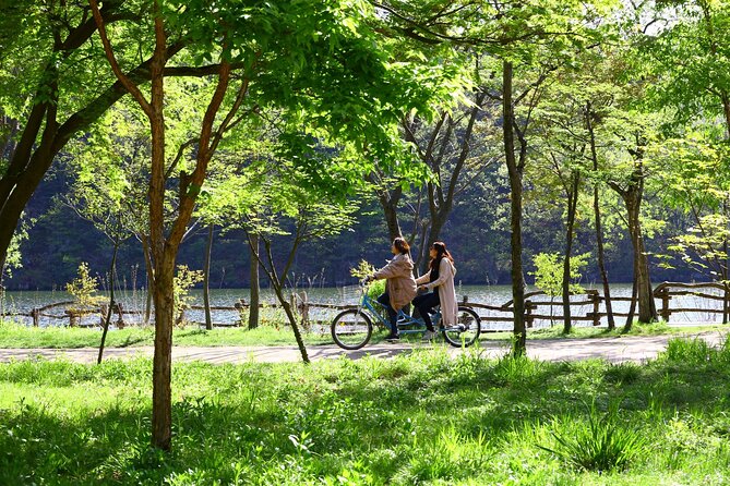 Mount Seorak and Nami Island One Day Tour from Seoul - The guide factor: what makes the day feel easy
