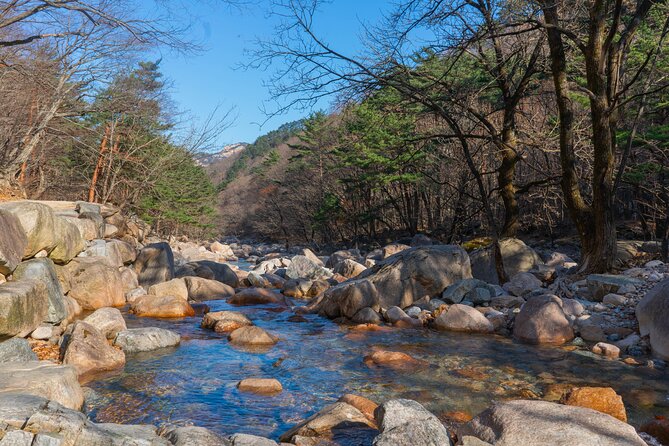 Mount Seorak and Nami Island One Day Tour from Seoul - Weather and traffic: the reality check you should plan for