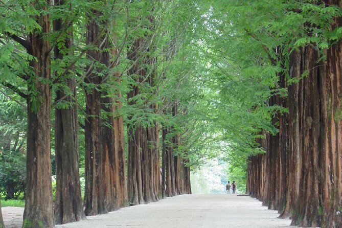 Mount Seorak and Nami Island One Day Tour from Seoul - Seoraksan National Park: 3 hours of mountain views you can feel