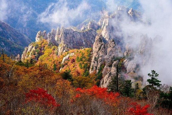Mt.Seorak & Naksan Temple Day Trip from Seoul - How the day flows: Seoraksan, Naksansa, then Naksan Beach