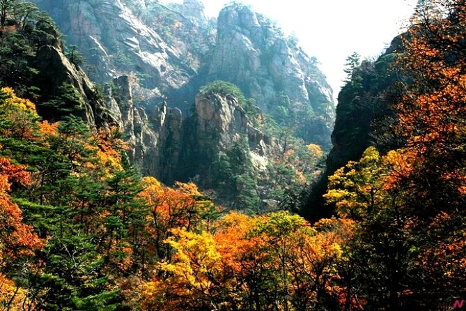 Mt.Seorak & Naksan Temple Day Trip from Seoul - Naksansa Temple: calm spirituality with ocean views