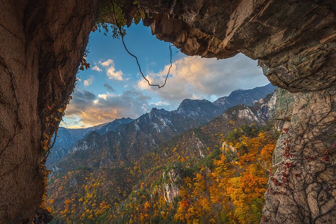 Mt.Seorak & Naksan Temple Day Trip from Seoul - The guide experience: bilingual help that actually matters
