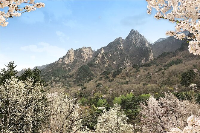 Mt. Seorak+Nami Island+Garden of Morning Calm Day Trip from Seoul - Price and what you truly get for $95.18
