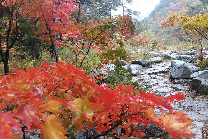 Mt. Seorak+Nami Island+Garden of Morning Calm Day Trip from Seoul - Seoraksan National Park and Shinheungsa Temple: nature plus a real place to anchor your walk