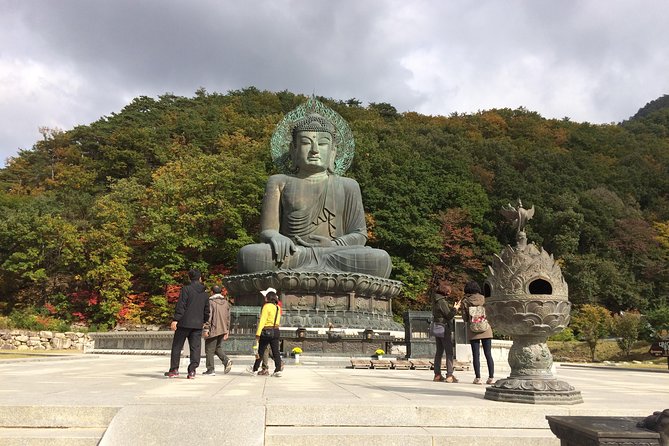 Mt. Seorak+Nami Island+Garden of Morning Calm Day Trip from Seoul - Nami Island: famous trees, tight timing, and how to beat the photo chaos
