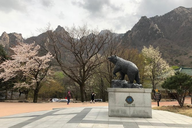 Mt. Seorak+Nami Island+Garden of Morning Calm Day Trip from Seoul - Garden of Morning Calm: a short, calm visit with a clear purpose