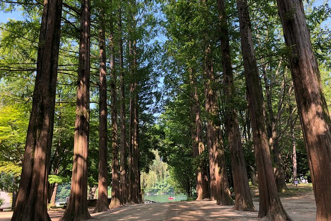 Mt. Seorak+Nami Island+Garden of Morning Calm Day Trip from Seoul - Guides and the human touch: why people keep praising the hosts by name