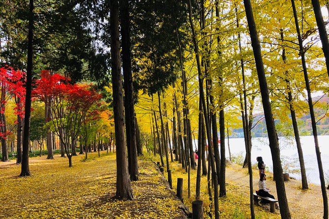 Mt. Seorak+Nami Island+Garden of Morning Calm Day Trip from Seoul - What’s included vs what costs extra (so you don’t get surprised)