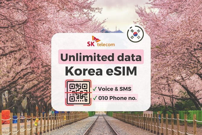 N Seoul Tower Observatory Ticket South Korea - The Love Locks Moment and Summit Photo Spots