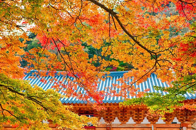 Naejangsan National Park Autumn Foliage One Day Tour from Busan - Highlights You Should Know Before You Go